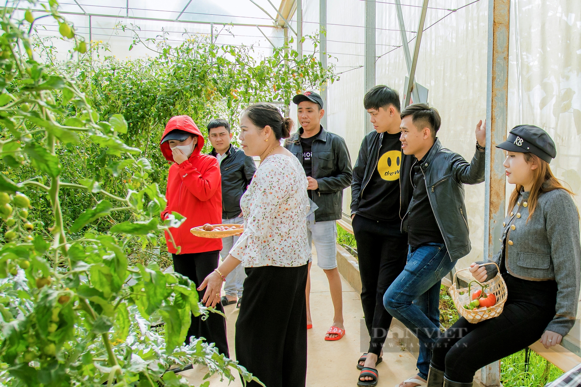 Chẳng cần đến Đà Lạt, ngay ở Gia Nghĩa cũng có nông trại 